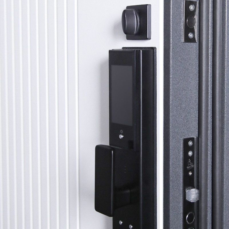 Входная дверь АСД "Беркут" (биометрический замок Smart lock DZ 888) Букле графит/Дуб галиф натуральный