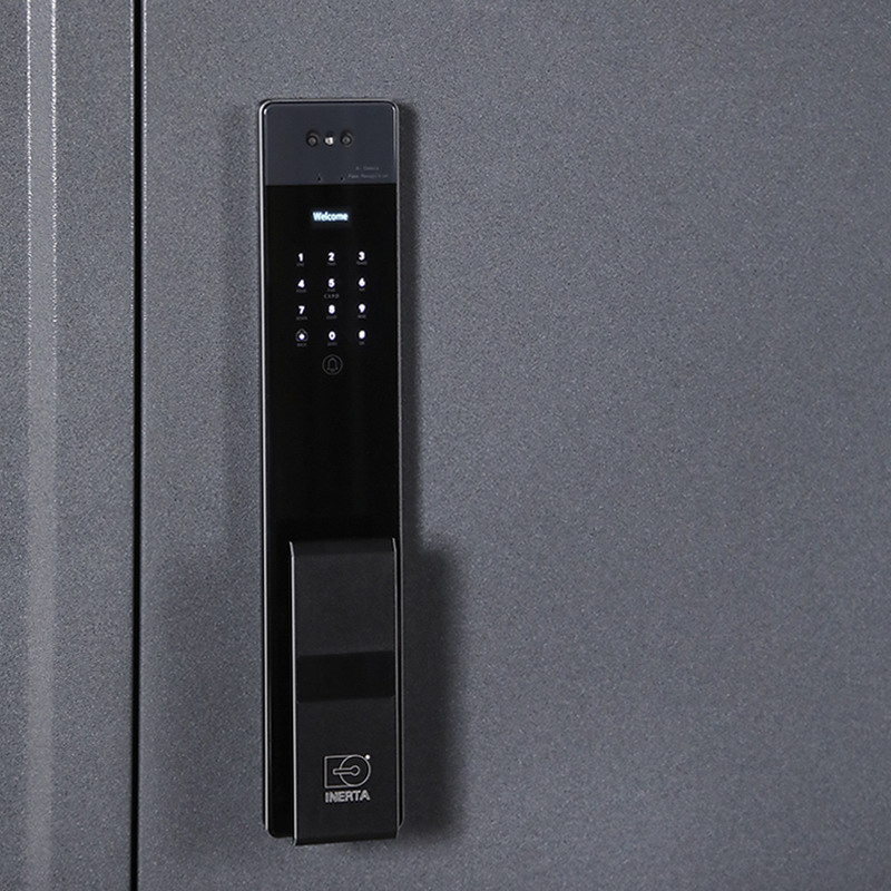 Входная дверь АСД "Беркут" с зеркалом (биометрический замок Smart lock Y23) Букле графит/Матовый белый