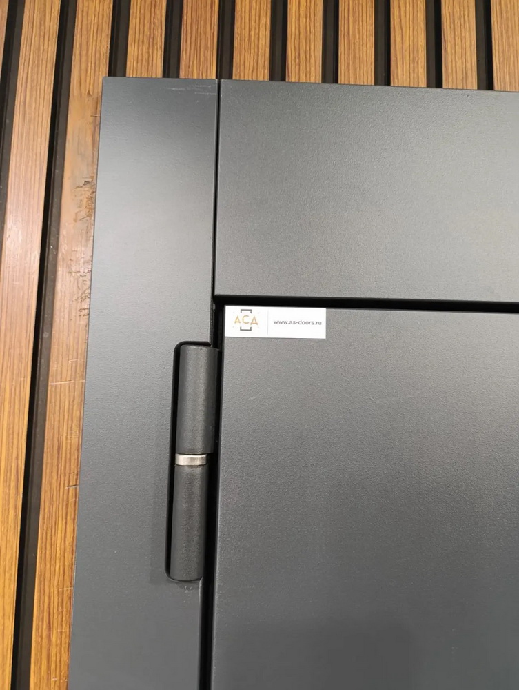 Входная дверь АСД &laquo;Голиаф&raquo; (биометрический замок Smart lock K06) Муар серый/Белый матовый