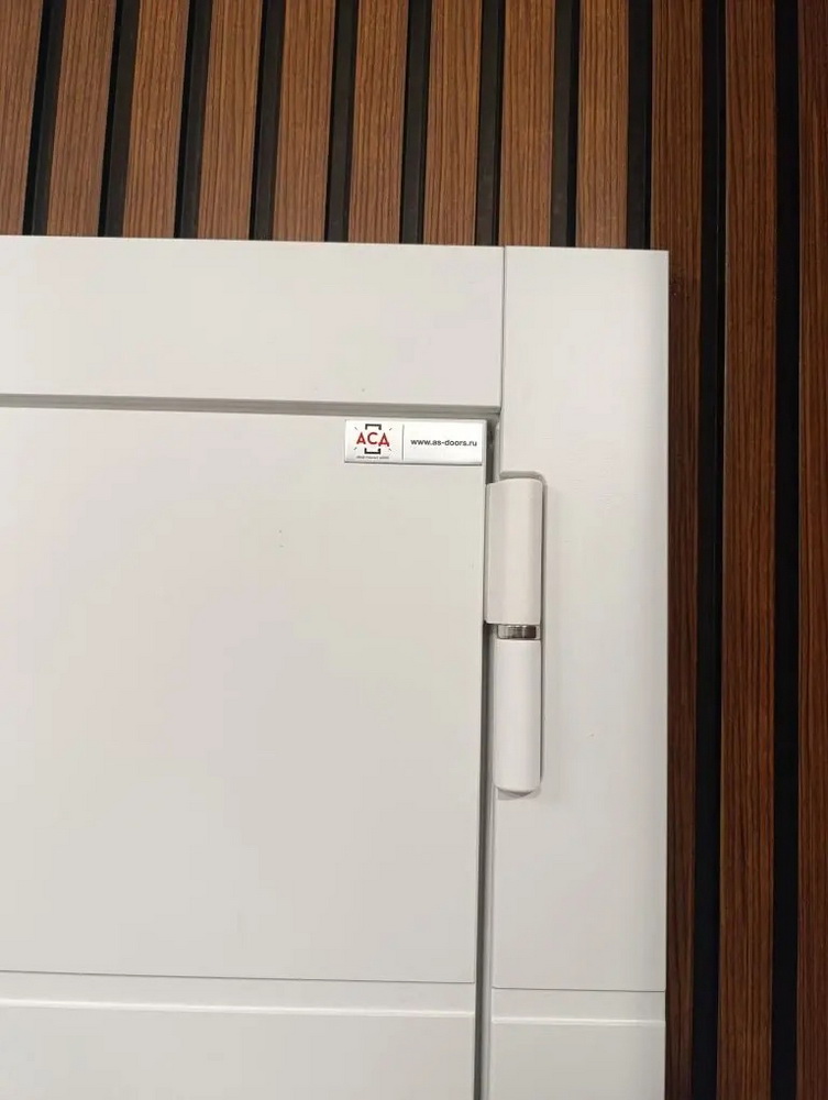 Входная дверь АСД "Горизонт" с зеркалом (биометрический замок Smart lock DZ 888) Муар белый/Белый матовый