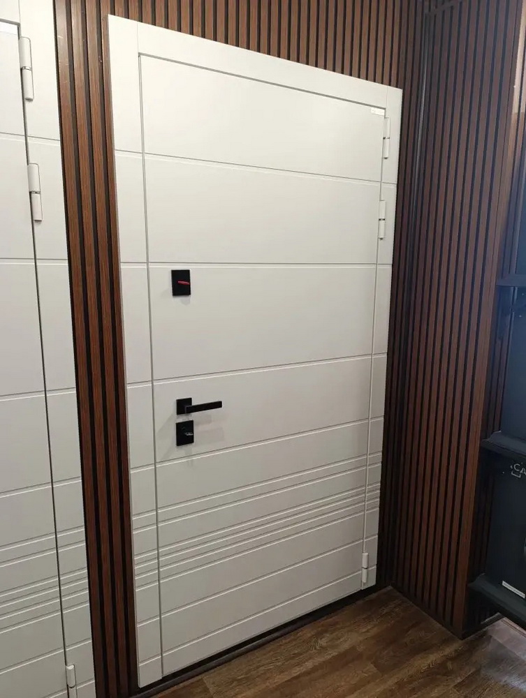 Входная дверь АСД "Горизонт" с зеркалом (биометрический замок Smart lock К06) Муар белый/Белый матовый