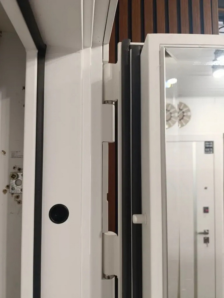 Входная дверь АСД "Горизонт" с зеркалом (биометрический замок Smart lock Y12) Муар белый/Белый матовый