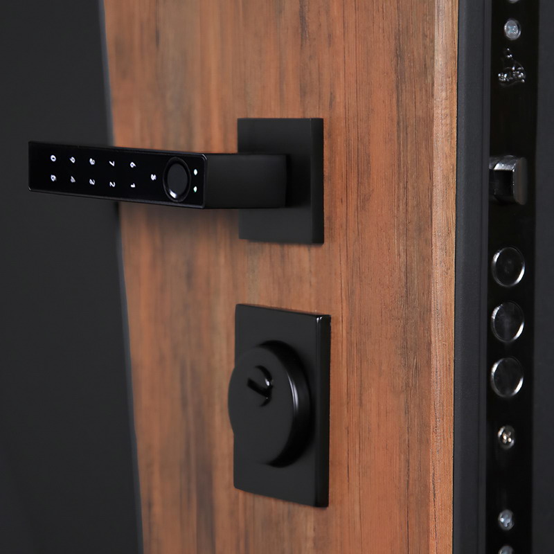 Входная дверь АСД "Макс 3D" с зеркалом (Smart lock DZ 888) Муар черный/Белый матовый