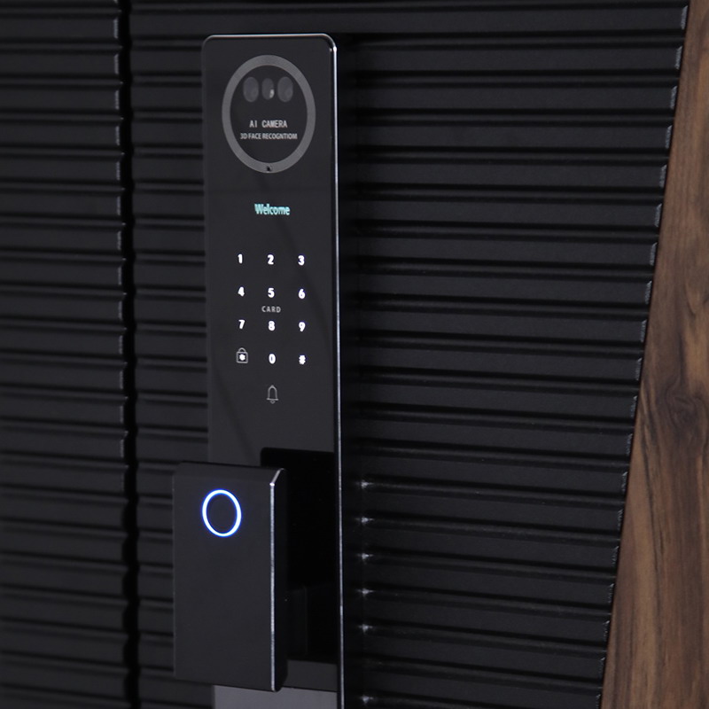 Входная дверь АСД "Сапсан" с зеркалом (биометрический замок Smart lock Y12) Муар черный/Белый матовый