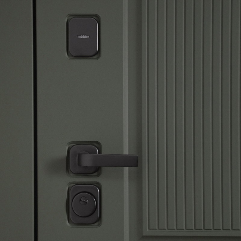Входная дверь АСД "Scandi" (биометрический замок Smart lock DZ 888) Муар черный/Белый матовый