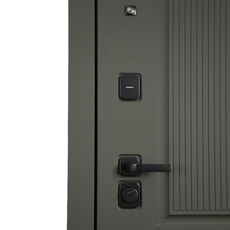 Входная дверь АСД "Scandi" с зеркалом (биометрический замок Smart lock Y12) Муар черный/Белый матовый