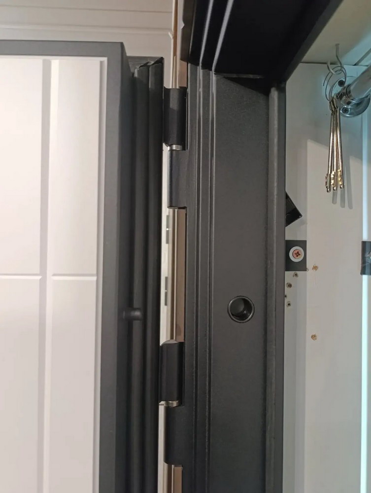 Входная дверь АСД &laquo;Сидней&raquo; (биометрический Smart lock замок Y12) Муар серый/Белый матовый