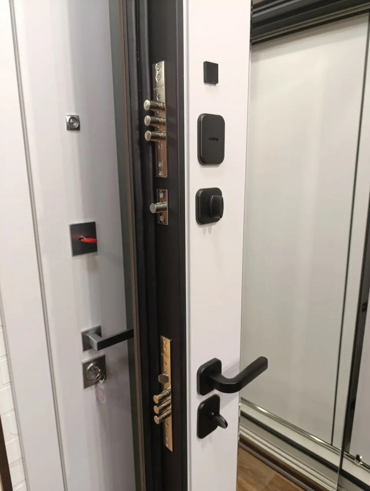 Входная дверь АСД &laquo;Сидней&raquo; с зеркалом (биометрический Smart lock замок DZ 888) Муар серый/Белый матовый