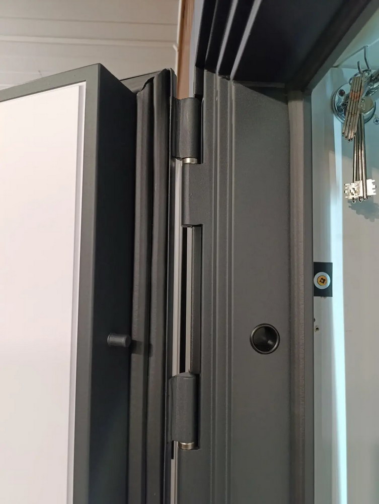 Входная дверь АСД "Storm" (биометрическая дверная ручка Smart lock T888) Муар серый/Белый матовый